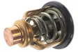 Termostaatti Yamaha F150G F175A/C F200B/F/G - Yamaha Termostaatit + Tiivisteet - 6DA124110100 - 1