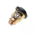 Termostaatti Yamaha F9.9H F15C F20B - Yamaha Termostaatit + Tiivisteet - 6AH124110000 - 1