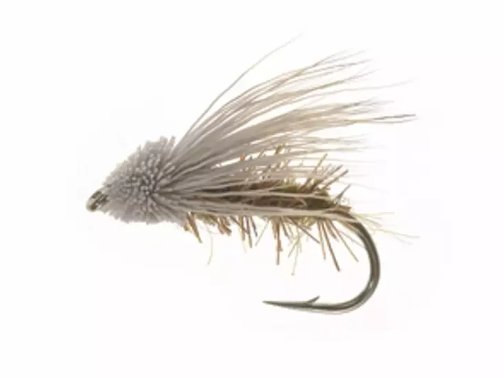 Streaking Caddis Olive Daiichi Perho - Perhot ja perholajitelmat - FL35010 - 1