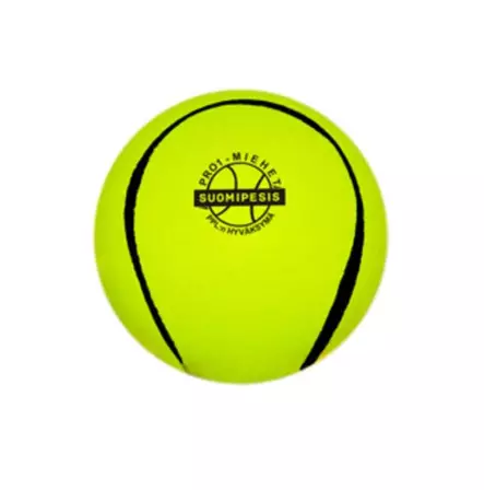 Suomipesis Pro 1 miesten pesäpallo - Pesäpallot - 2001 - 2