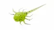 13 Fishing Panfish Plastics Coconut Crab Mikrojigi - 13 Fishing Jigit - 129617 - 1