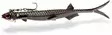 Quantum Pelagic Shad Set 60g 21cm - Quantum Jigit - 3456001 - 1