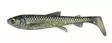 Savage Gear 3D Whitefish shad Jigi | 27cm |152g | 1kpl - Savage Gear Jigit - 1610784 - 1