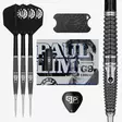 Target Japan Paul Lim The Legend G9 Swiss Point 90% Steel Tip Darts - Target Darts Tikat - 190591 - 1