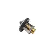 Mercury termostaatti 49 °C - Mercury Termostaatit + Tiivisteet - 8M0223832 - 1