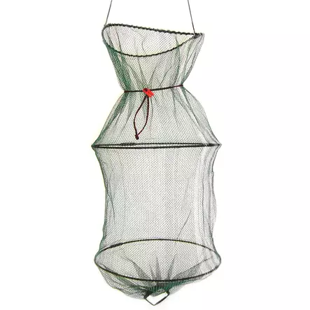 Dida 173 Eco-Sumppu - Sumput ja Hapettajat - 173 - 1