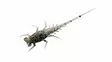 13 Fishing Panfish Plastics Bernie Mikrojigi - 13 Fishing Jigit - 129611 - 1