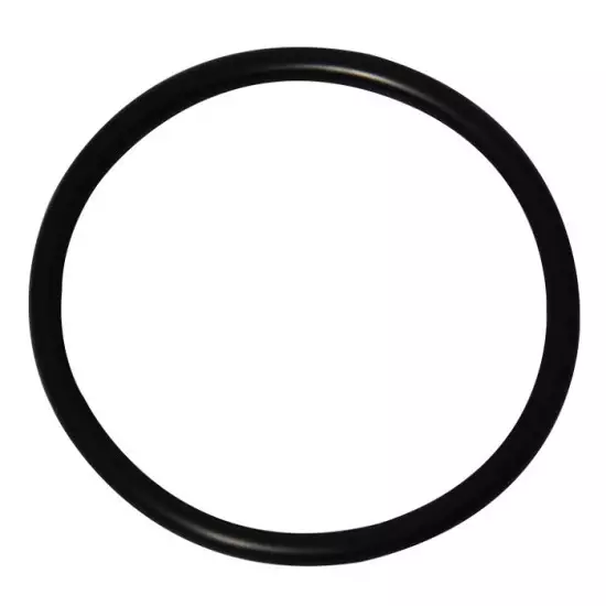 Honda OEM Polttoainesuodattimen tiiviste - Honda OEM Perämoottorin Tiivisteet - 16918-ZY3-003 - 1