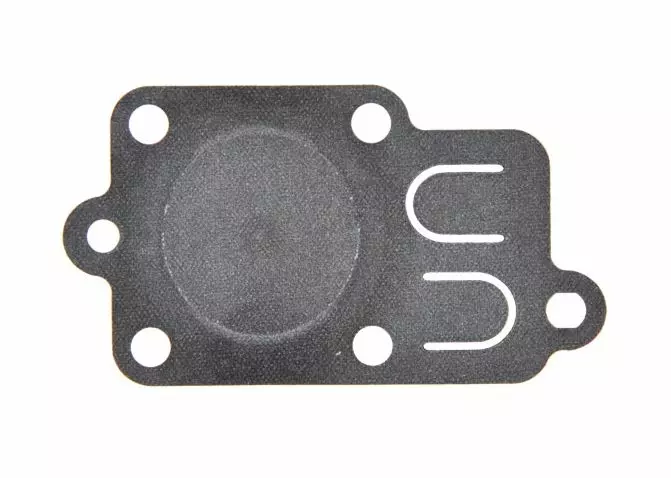 Kaasuttimen kalvo B&S 272538 - Sekalaiset varaosat - 99303 - 1
