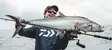 Daiwa 25 Saltiga Jäämeri Hyrräkela - Jäämerikelat - 224504 - 5