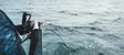 Daiwa 25 Saltiga Jäämeri Hyrräkela - Jäämerikelat - 224504 - 4