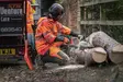 Husqvarna 540iXP 14" SP21G | ilman akkua ja laturia | Bluetooth - Akkukäyttöiset moottorisahat - 9705724-14 - 4