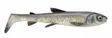 Savage Gear 3D Whitefish shad Jigi | 23cm | 94g | 1kpl - Savage Gear Jigit - 1610774 - 1