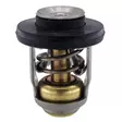 Mercury termostaatti 8–30 hv FourStroke - Mercury Termostaatit + Tiivisteet - 8M0119207 - 1