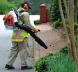 Stihl BR 500 Reppupuhallin - Reppumalliset lehtipuhaltimet - 42820111628 - 3