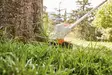 Stihl FSA 57 Akkutrimmeri - Akkukäyttöiset trimmerit - 45220115748 - 3