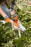 Stihl GTA 26 Akkusaha - Akkukäyttöiset oksasahat - GA010116918 - 5