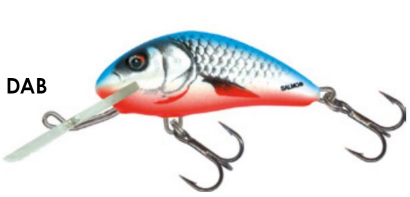 Salmo Hornet H4F Dace Blue - Salmo Hornet vaaput - HT-040-FL-DAB - 1