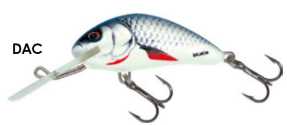 Salmo Hornet H4F Dace - Salmo Hornet vaaput - HT-040-FL-DAC - 1
