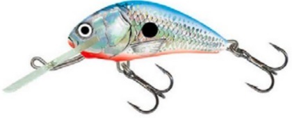 Salmo Hornet H4F Silver Blue Shad - Salmo Hornet vaaput - HT-040-FL-SBS - 2