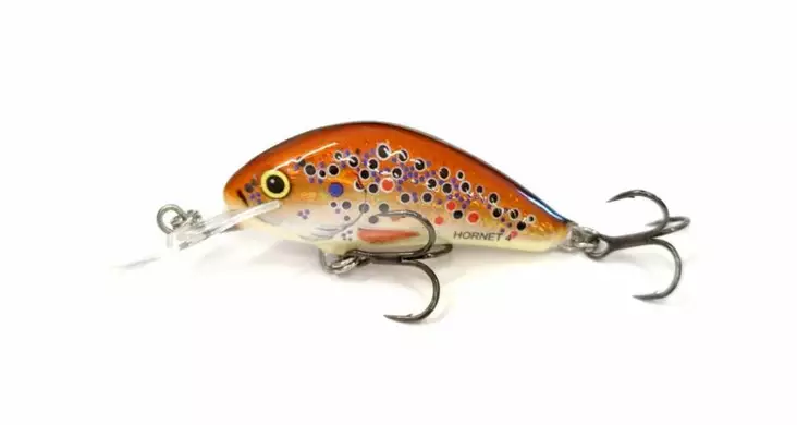 Salmo Hornet 4F - BHT - Salmo Hornet vaaput - HT-040-FL-BHT - 1